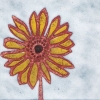 B16