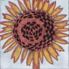 B33