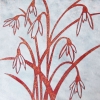c171