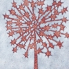 c27