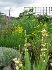 J-Partington-Allotment-2-x7